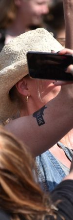 IMG_7231 IMG_7231
